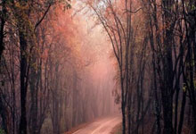 乌迪内斯足球俱乐部，意甲赛场的造星工厂与独特生存之道？