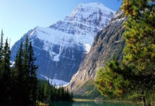 巴萨各赛季球衣有哪些经典设计与故事？